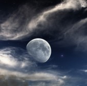 Etiam vel laoreet ipsum