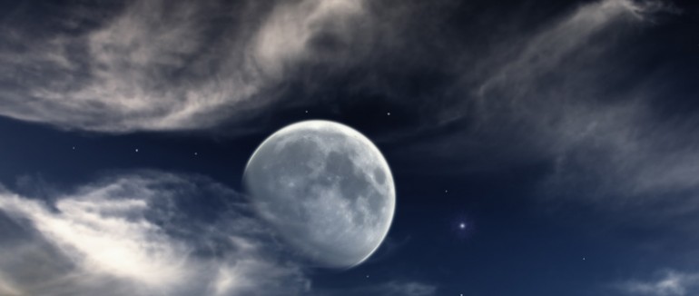 Etiam vel laoreet ipsum